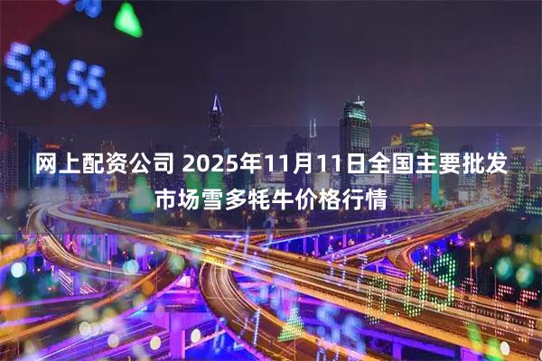 网上配资公司 2025年11月11日全国主要批发市场雪多牦牛价格行情