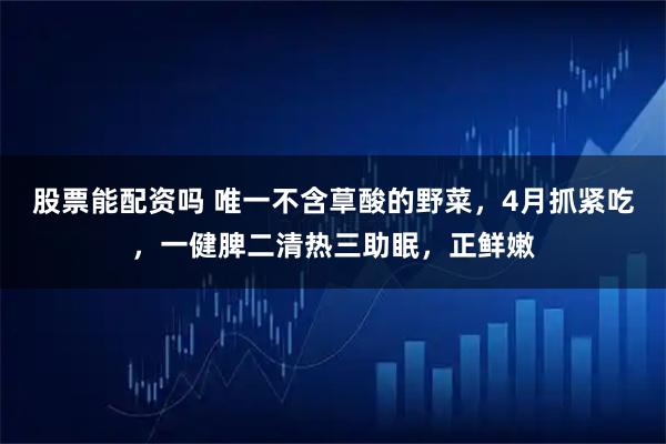 股票能配资吗 唯一不含䓍酸的野菜，4月抓紧吃，一健脾二清热三助眠，正鲜嫩